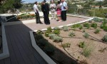  participants on the green roof